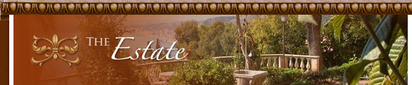 The Estate
